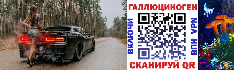 Купить  Гагарин  Псилоцибиновые грибы мицелий 
